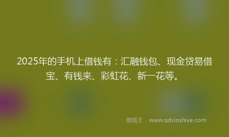 2025年的手机上借钱有：汇融钱包、现金贷易借宝、有钱来、彩虹花、新一花等。