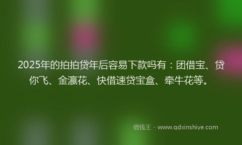 2025年的拍拍贷年后容易下款吗有：团借宝、贷你飞、金瀛花、快借速贷宝盒、牵牛花等。