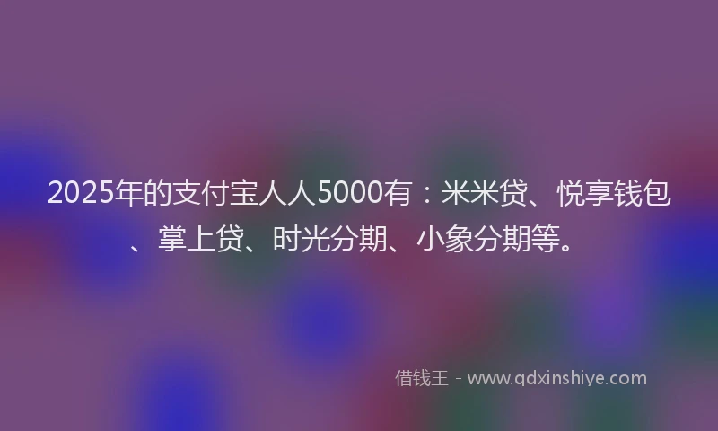 2025年的支付宝人人5000有：米米贷、悦享钱包、掌上贷、时光分期、小象分期等。