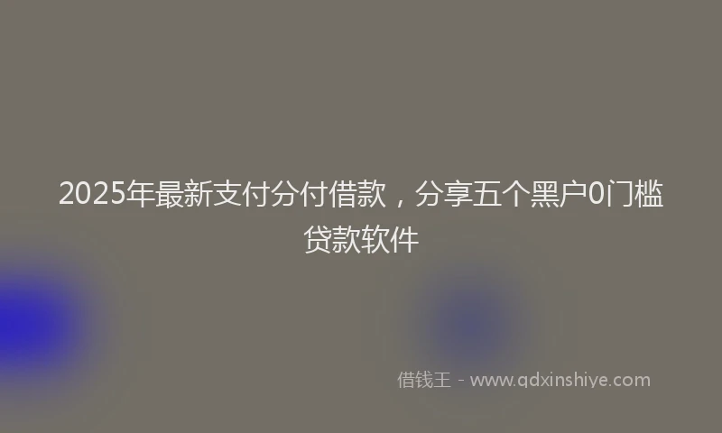 2025年最新支付分付借款，分享五个黑户0门槛贷款软件