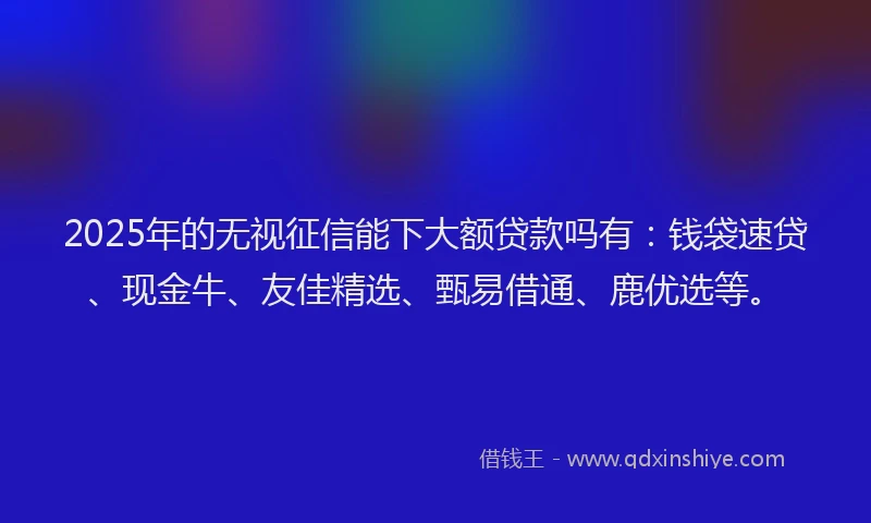 2025年的无视征信能下大额贷款吗有：钱袋速贷、现金牛、友佳精选、甄易借通、鹿优选等。