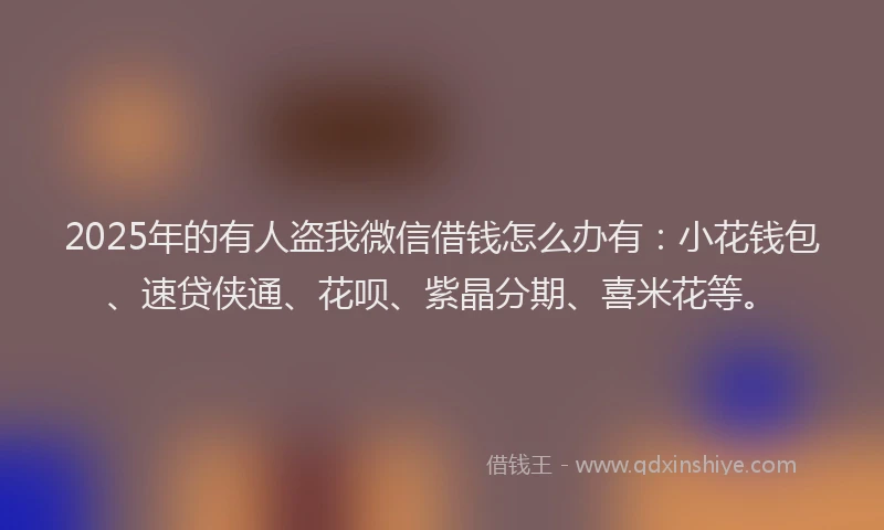 2025年的有人盗我微信借钱怎么办有：小花钱包、速贷侠通、花呗、紫晶分期、喜米花等。
