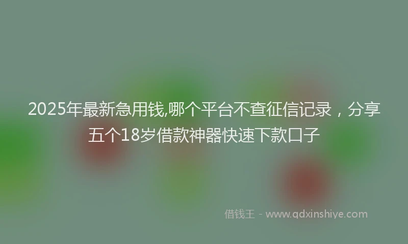 2025年最新急用钱,哪个平台不查征信记录，分享五个18岁借款神器快速下款口子