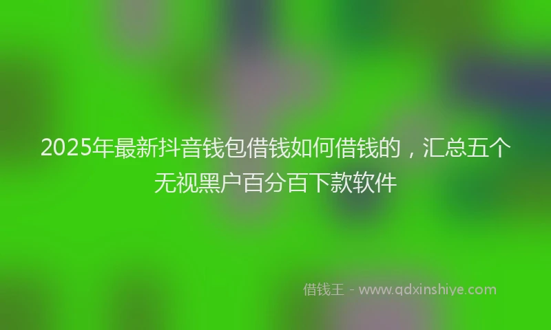 2025年最新抖音钱包借钱如何借钱的,汇总五个无视黑户百分百下款软件