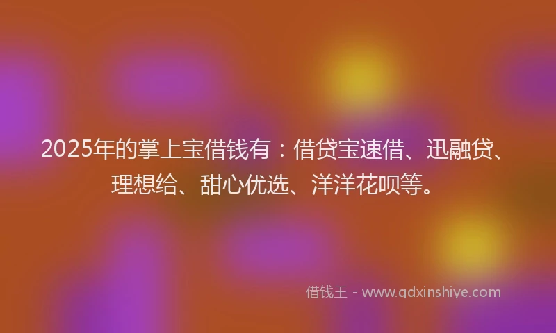 2025年的掌上宝借钱有：借贷宝速借、迅融贷、理想给、甜心优选、洋洋花呗等。