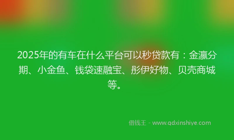 2025年的有车在什么平台可以秒贷款有：金瀛分期、小金鱼、钱袋速融宝、彤伊好物、贝壳商城等。