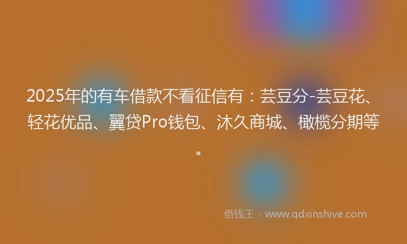 2025年的有车借款不看征信有：芸豆分-芸豆花、轻花优品、翼贷Pro钱包、沐久商城、橄榄分期等。