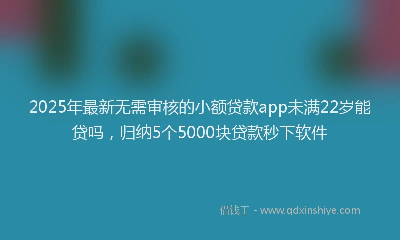 2025年最新无需审核的小额贷款app未满22岁能贷吗，归纳5个5000块贷款秒下软件