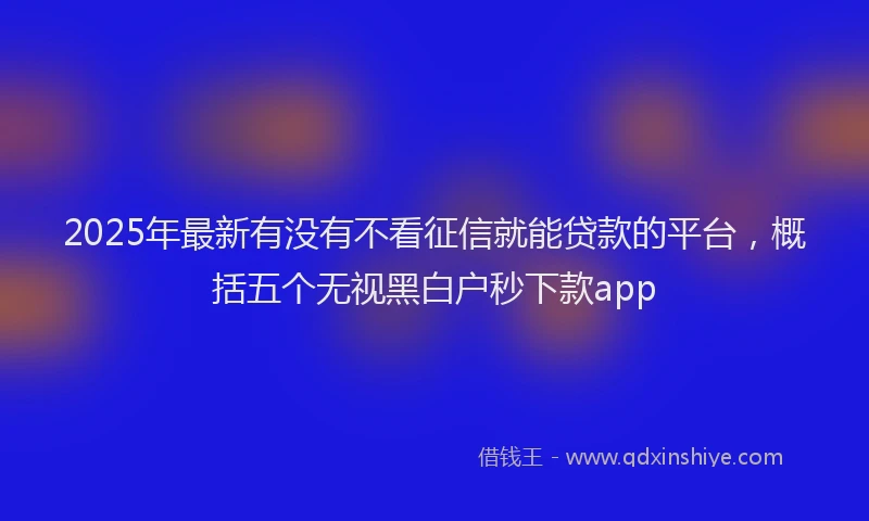 2025年最新有没有不看征信就能贷款的平台,概括五个无视黑白户秒下款app