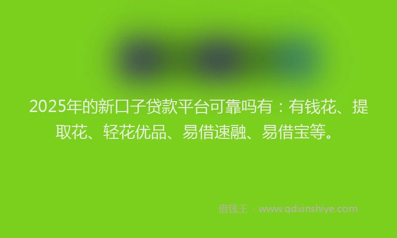2025年的新口子贷款平台可靠吗有：有钱花、提取花、轻花优品、易借速融、易借宝等。