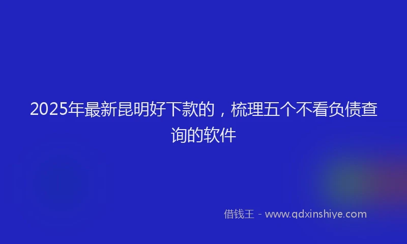 2025年最新昆明好下款的，梳理五个不看负债查询的软件