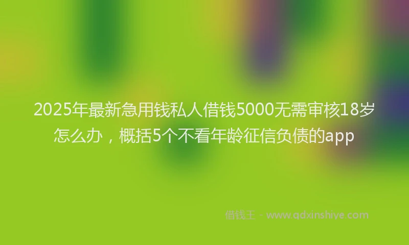 2025年最新急用钱私人借钱5000无需审核18岁怎么办，概括5个不看年龄征信负债的app