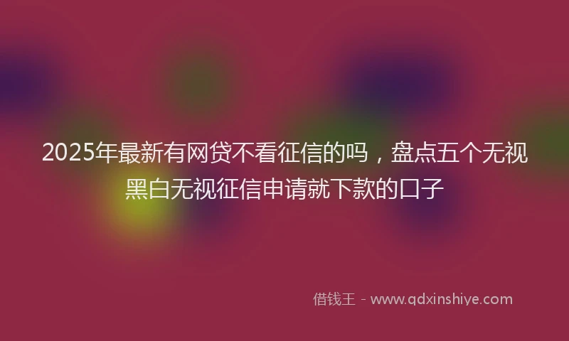 2025年最新有网贷不看征信的吗，盘点五个无视黑白无视征信申请就下款的口子