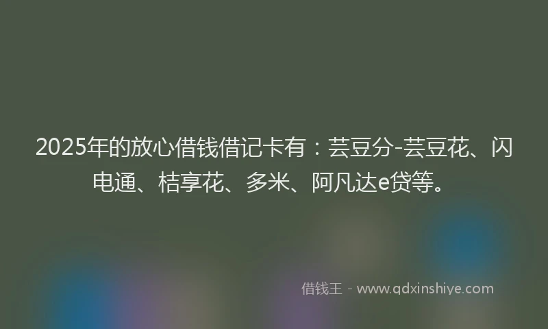 2025年的放心借钱借记卡有：芸豆分-芸豆花、闪电通、桔享花、多米、阿凡达e贷等。