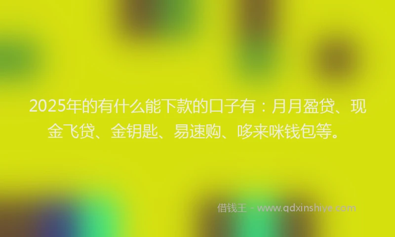 2025年的有什么能下款的口子有：月月盈贷、现金飞贷、金钥匙、易速购、哆来咪钱包等。