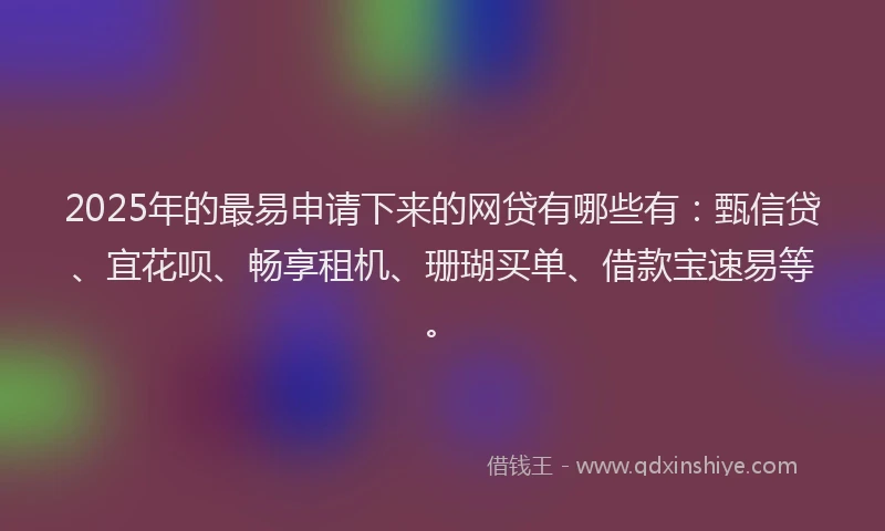 2025年的最易申请下来的网贷有哪些有：甄信贷、宜花呗、畅享租机、珊瑚买单、借款宝速易等。