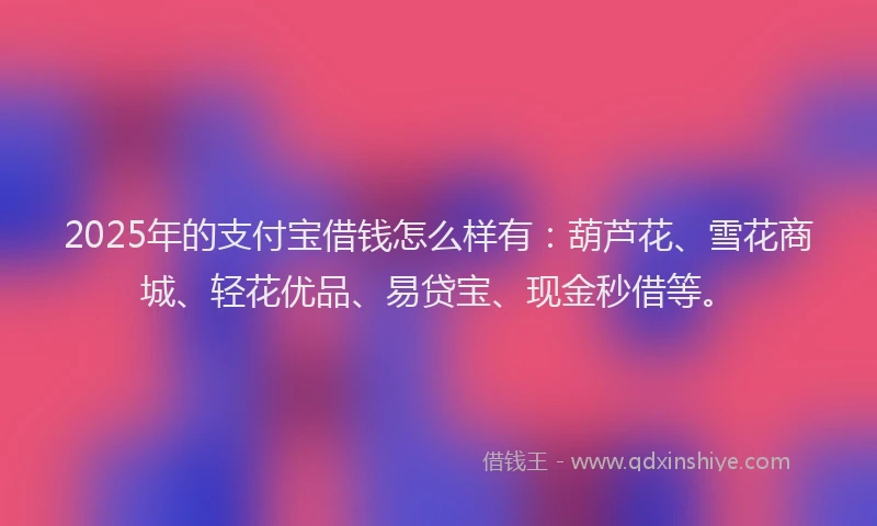 2025年的支付宝借钱怎么样有：葫芦花、雪花商城、轻花优品、易贷宝、现金秒借等。