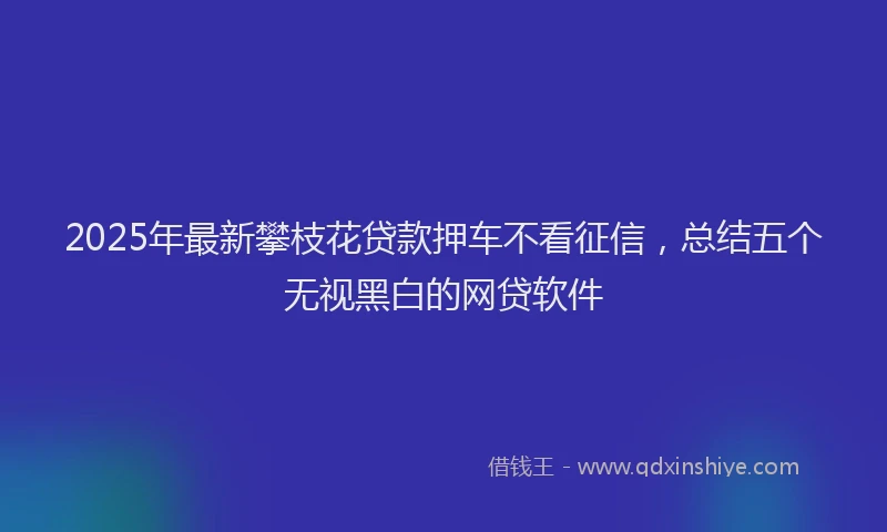 2025年最新攀枝花贷款押车不看征信，总结五个无视黑白的网贷软件