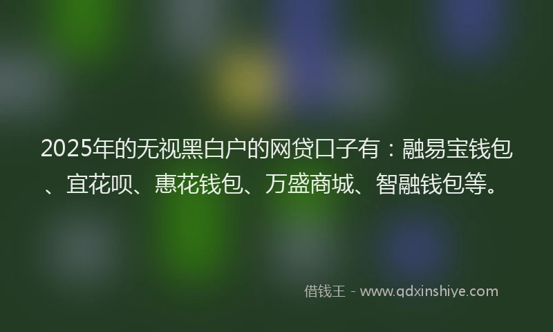 2025年的无视黑白户的网贷口子有：融易宝钱包、宜花呗、惠花钱包、万盛商城、智融钱包等。