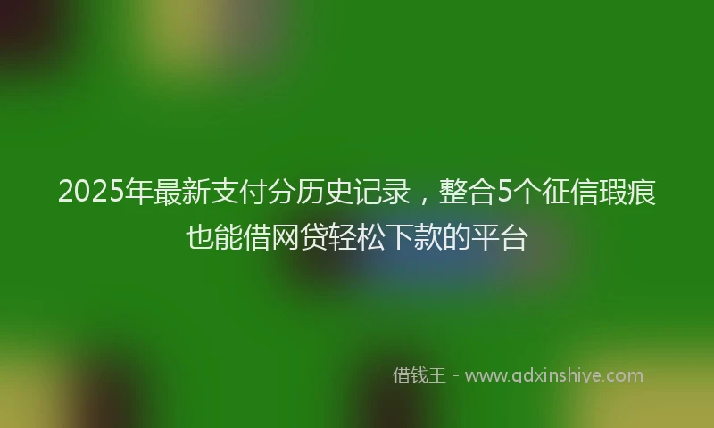 2025年最新支付分历史记录，整合5个征信瑕疵也能借网贷轻松下款的平台