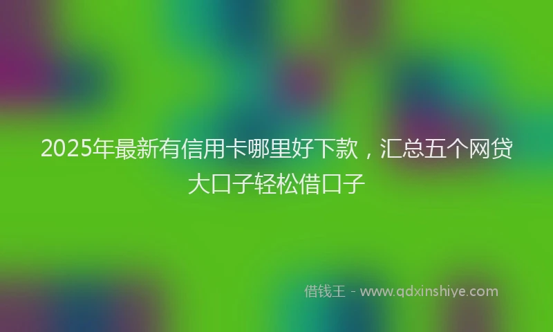 2025年最新有信用卡哪里好下款，汇总五个网贷大口子轻松借口子