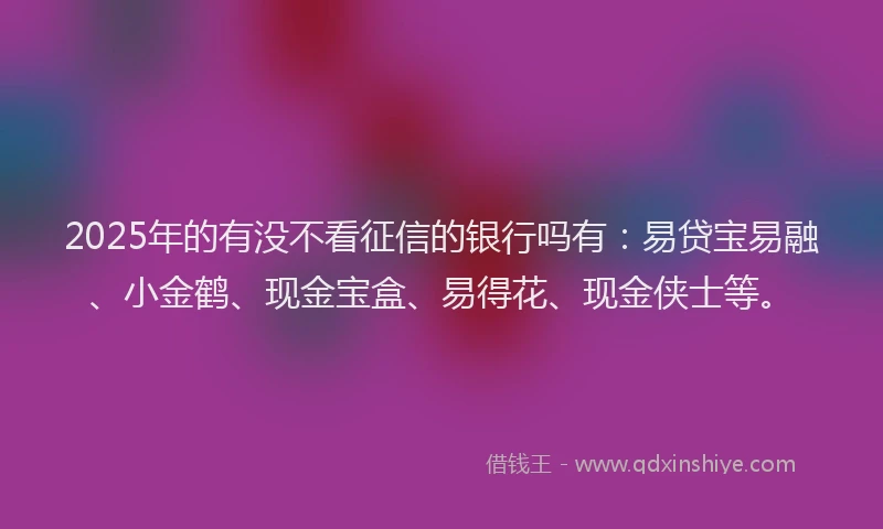 2025年的有没不看征信的银行吗有：易贷宝易融、小金鹤、现金宝盒、易得花、现金侠士等。