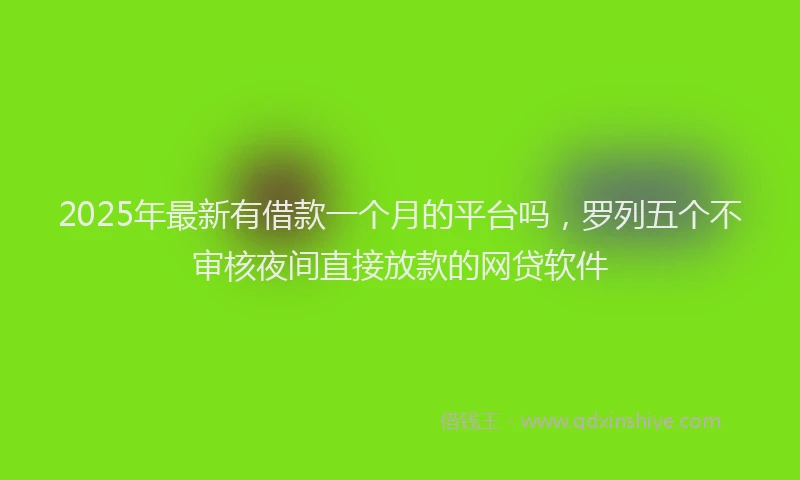 2025年最新有借款一个月的平台吗，罗列五个不审核夜间直接放款的网贷软件