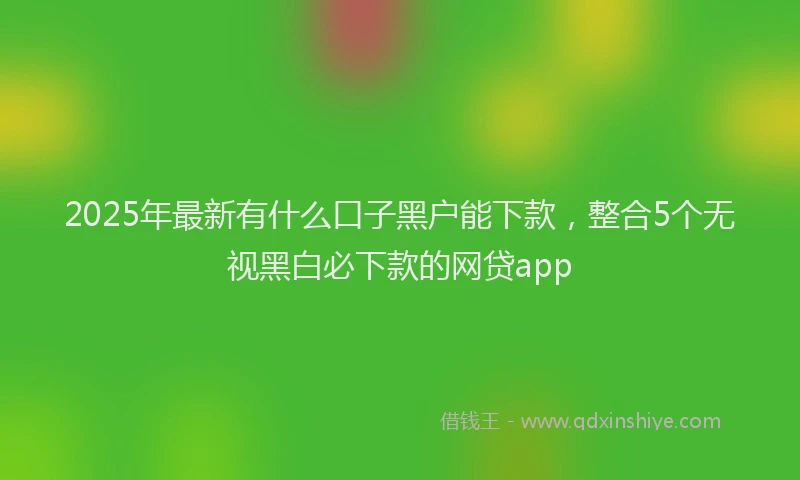 2025年最新有什么口子黑户能下款，整合5个无视黑白必下款的网贷app