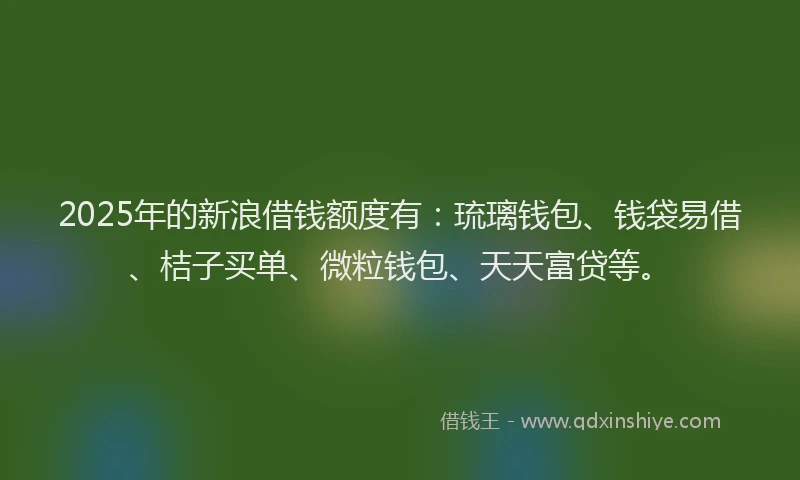2025年的新浪借钱额度有：琉璃钱包、钱袋易借、桔子买单、微粒钱包、天天富贷等。