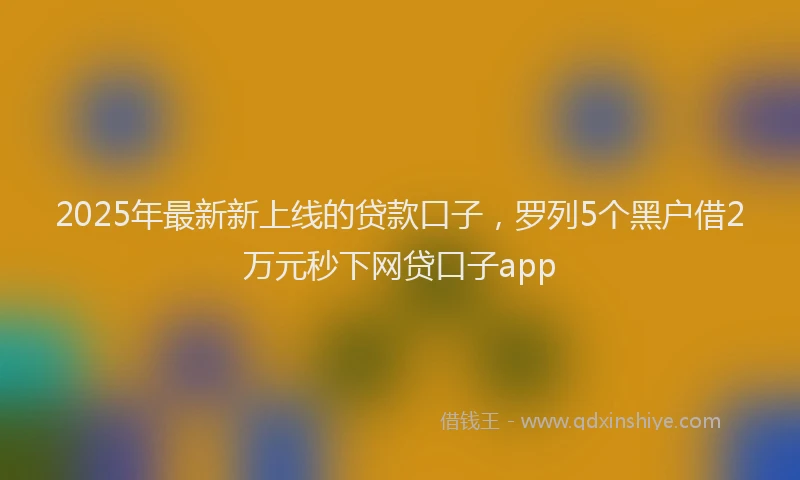 2025年最新新上线的贷款口子，罗列5个黑户借2万元秒下网贷口子app