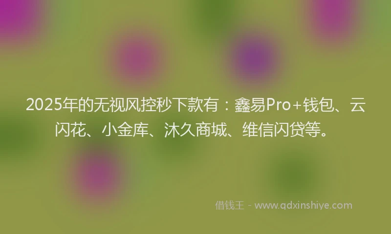 2025年的无视风控秒下款有：鑫易Pro+钱包、云闪花、小金库、沐久商城、维信闪贷等。