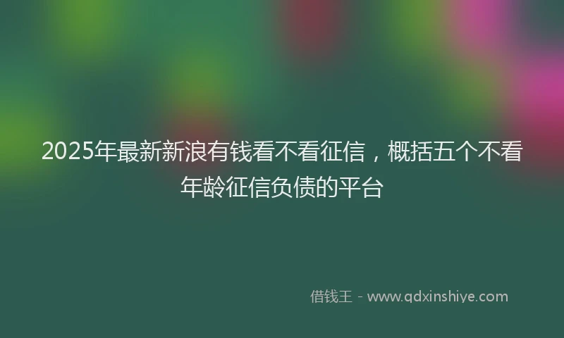2025年最新新浪有钱看不看征信，概括五个不看年龄征信负债的平台