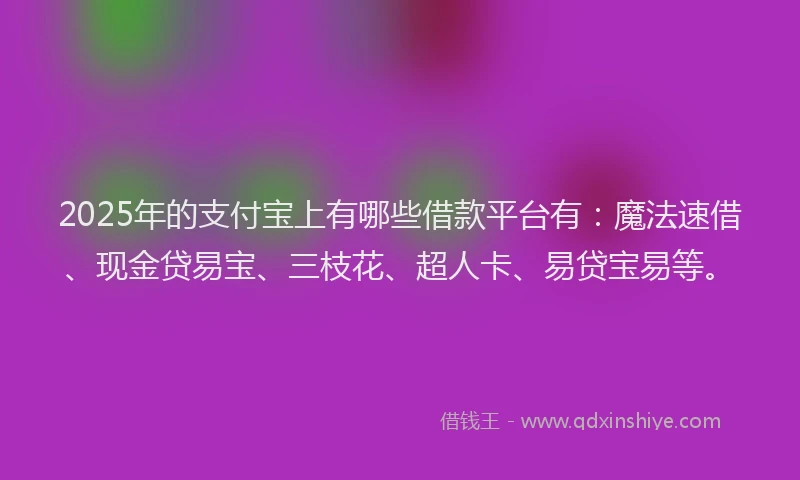 2025年的支付宝上有哪些借款平台有：魔法速借、现金贷易宝、三枝花、超人卡、易贷宝易等。