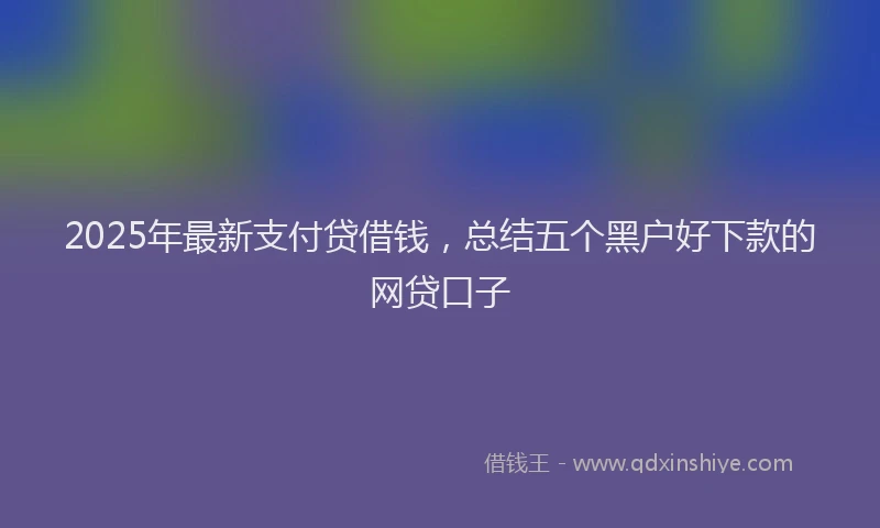 2025年最新支付贷借钱，总结五个黑户好下款的网贷口子