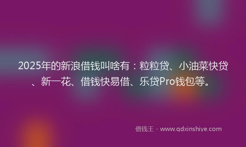 2025年的新浪借钱叫啥有：粒粒贷、小油菜快贷、新一花、借钱快易借、乐贷Pro钱包等。