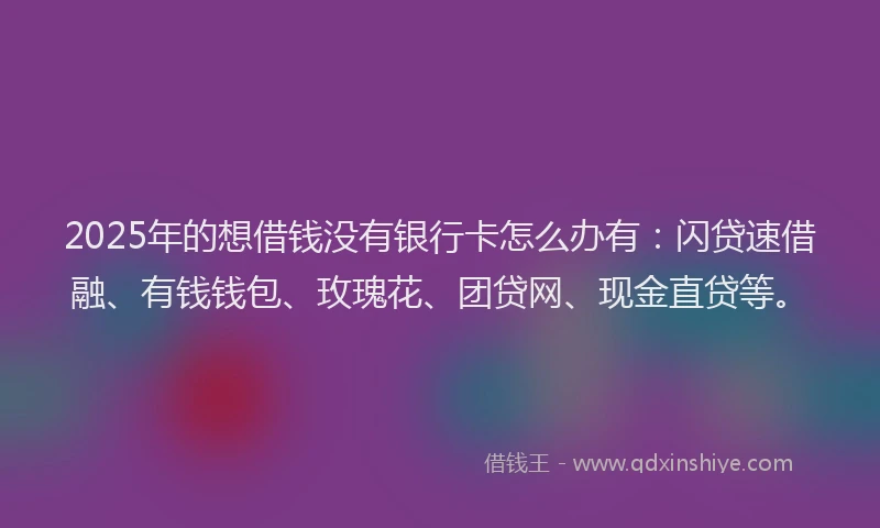 2025年的想借钱没有银行卡怎么办有：闪贷速借融、有钱钱包、玫瑰花、团贷网、现金直贷等。