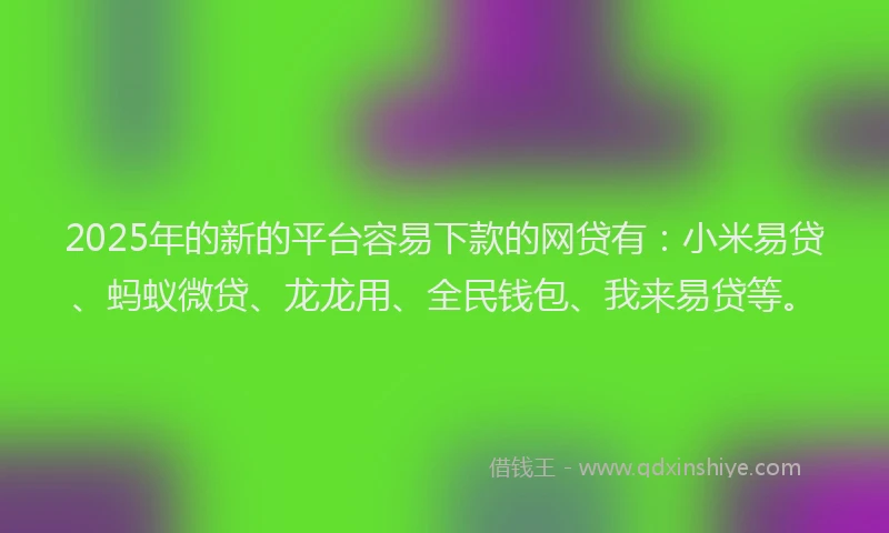 2025年的新的平台容易下款的网贷有：小米易贷、蚂蚁微贷、龙龙用、全民钱包、我来易贷等。