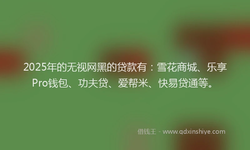 2025年的无视网黑的贷款有：雪花商城、乐享Pro钱包、功夫贷、爱帮米、快易贷通等。