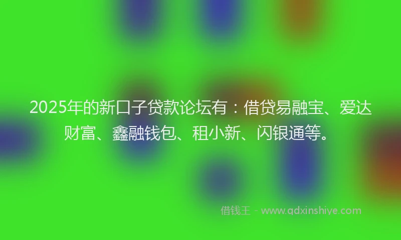 2025年的新口子贷款论坛有：借贷易融宝、爱达财富、鑫融钱包、租小新、闪银通等。