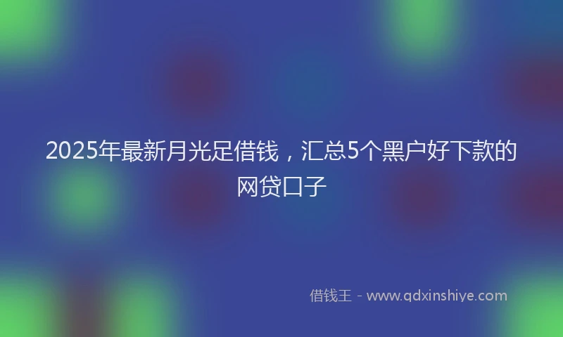 2025年最新月光足借钱，汇总5个黑户好下款的网贷口子