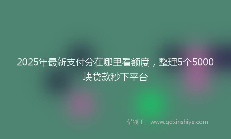 2025年最新支付分在哪里看额度，整理5个5000块贷款秒下平台