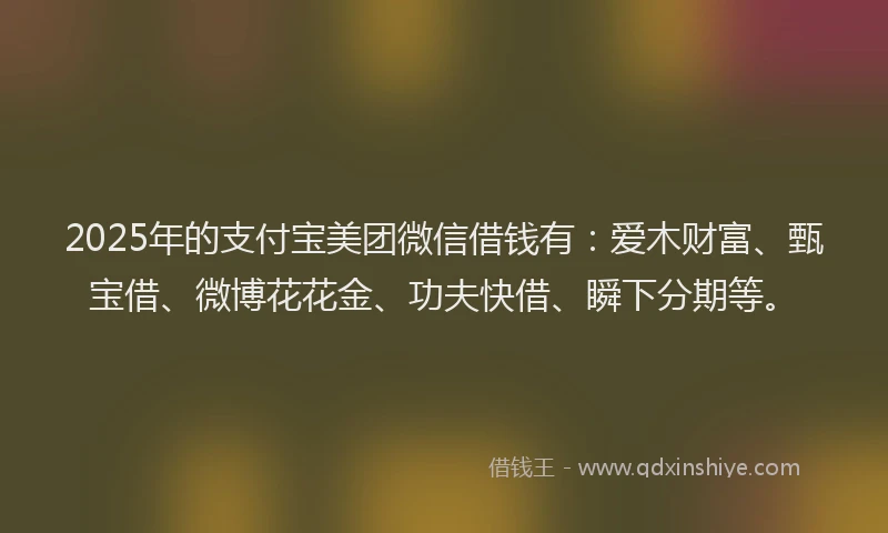 2025年的支付宝美团微信借钱有：爱木财富、甄宝借、微博花花金、功夫快借、瞬下分期等。