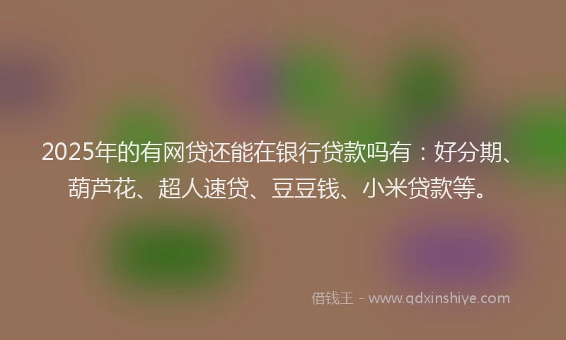 2025年的有网贷还能在银行贷款吗有：好分期、葫芦花、超人速贷、豆豆钱、小米贷款等。