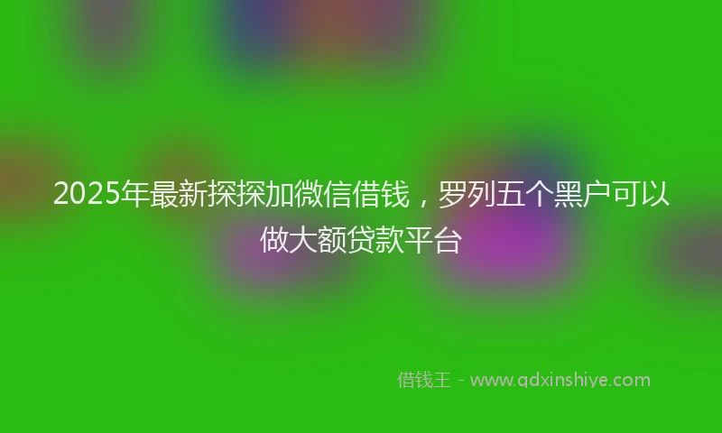 2025年最新探探加微信借钱，罗列五个黑户可以做大额贷款平台