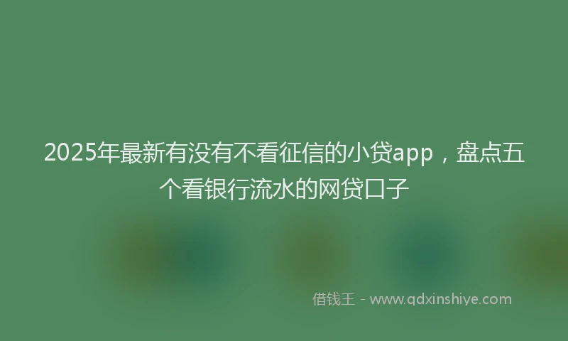 2025年最新有没有不看征信的小贷app，盘点五个看银行流水的网贷口子
