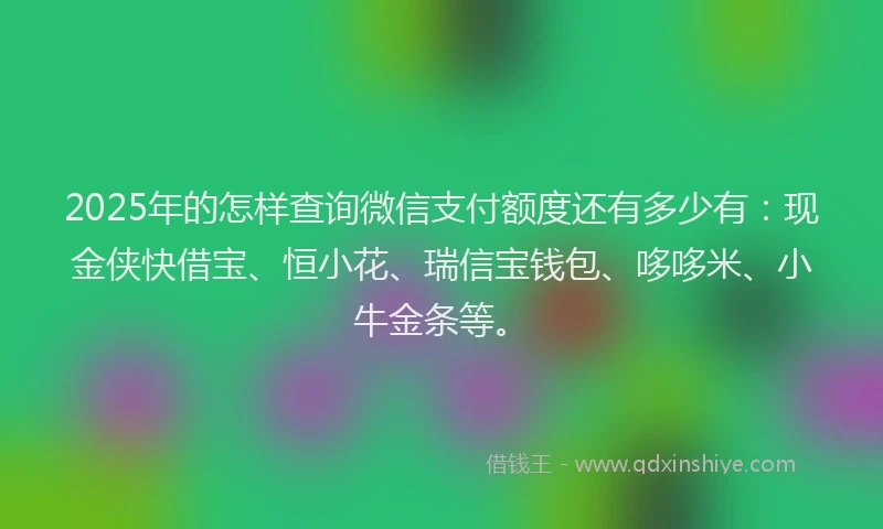 2025年的怎样查询微信支付额度还有多少有：现金侠快借宝、恒小花、瑞信宝钱包、哆哆米、小牛金条等。