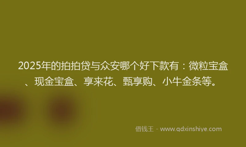 2025年的拍拍贷与众安哪个好下款有：微粒宝盒、现金宝盒、享来花、甄享购、小牛金条等。
