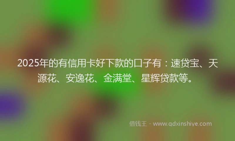 2025年的有信用卡好下款的口子有：速贷宝、天源花、安逸花、金满堂、星辉贷款等。
