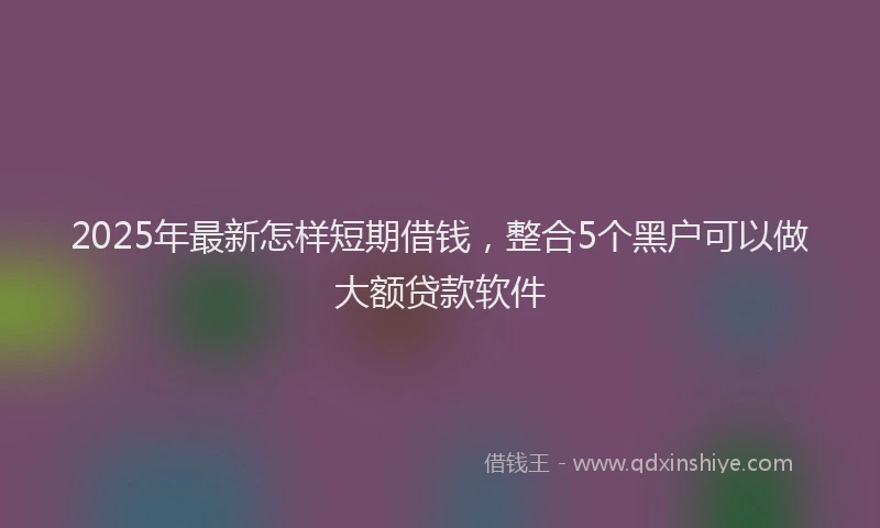 2025年最新怎样短期借钱，整合5个黑户可以做大额贷款软件