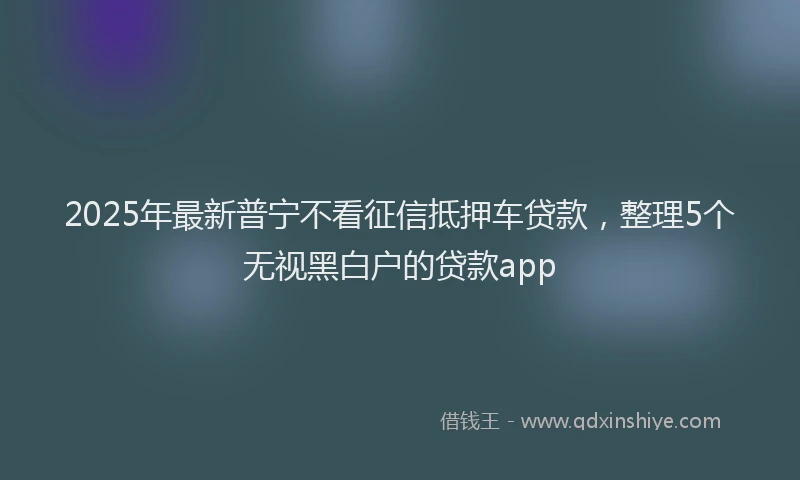 2025年最新普宁不看征信抵押车贷款，整理5个无视黑白户的贷款app